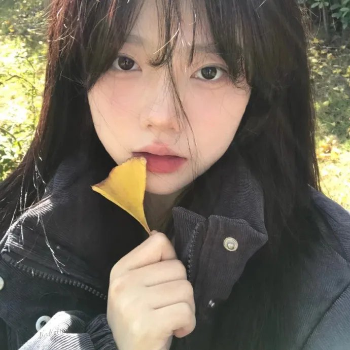 逐梦夏日